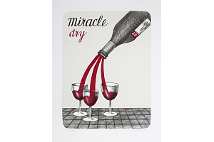 Miracle dry